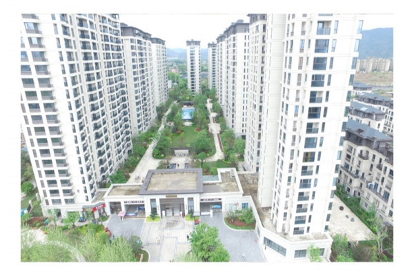 喜報！我公司“錢江杯”、“九龍杯”創(chuàng)歷史最好成績